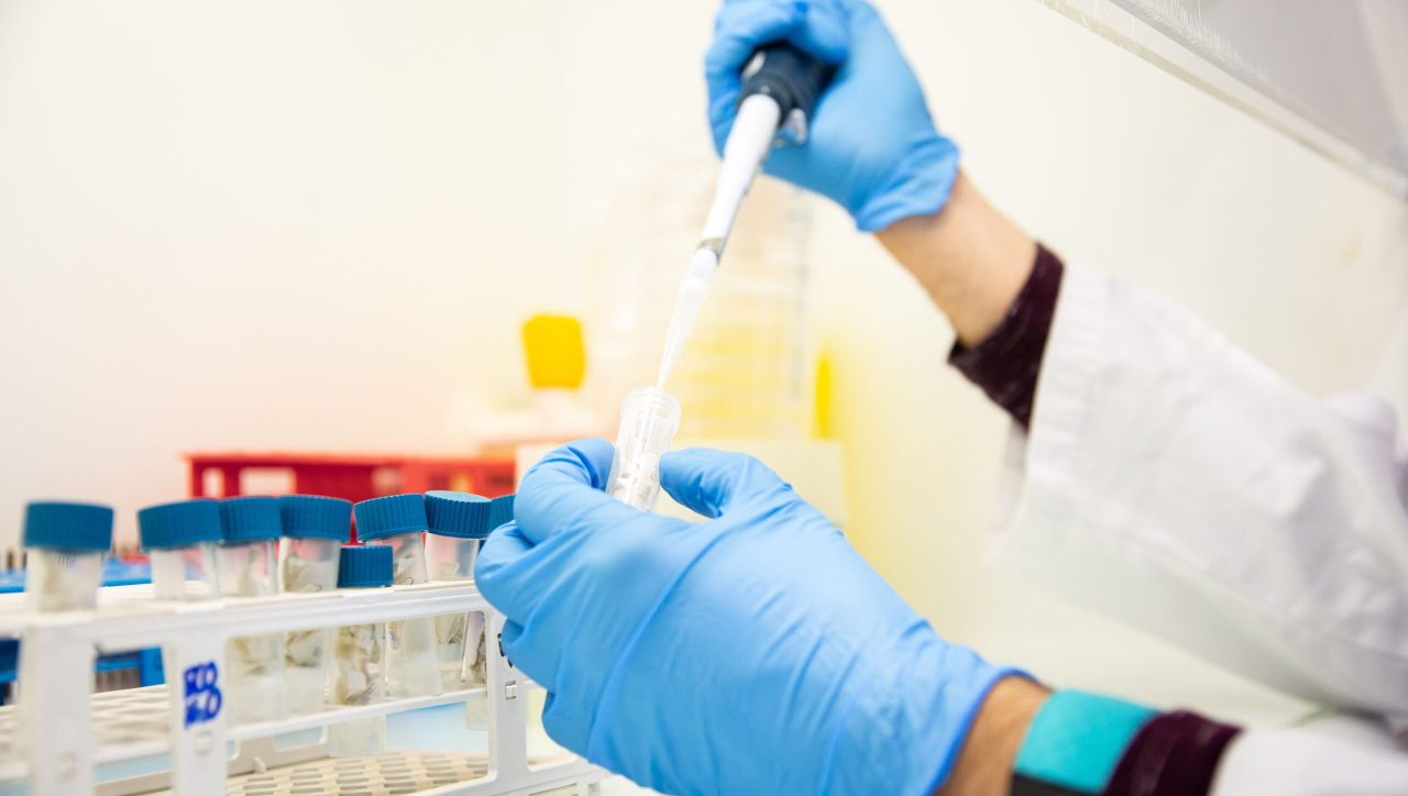 BETA Microbiologia-2529